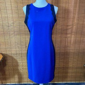 Belle Badgley Mishca Royal Blue with Black Lace Sheath Dress Size 8
